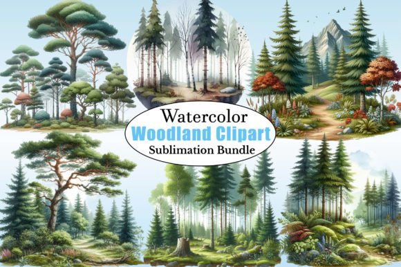 Download Watercolor Forest Clipart - Woodland Png - Forest clipart Collection