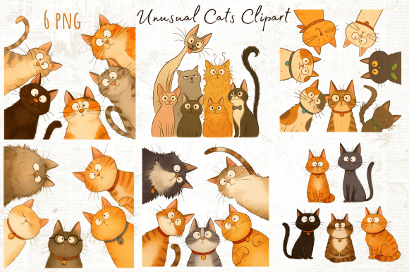 Download Funny Unusual Cats Clipart Png - Unusual Collection