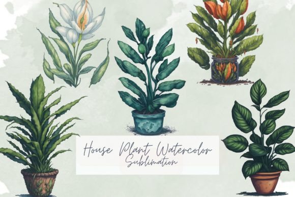 Download House Plant Watercolor Sublimation - Sublimation Collection
